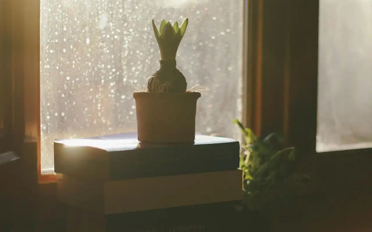 唯美简约小清新电脑桌面壁纸下载_风格壁纸_壁纸下载_美桌网