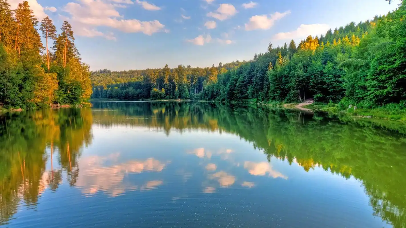 绿色清新护眼自然风景桌面壁纸