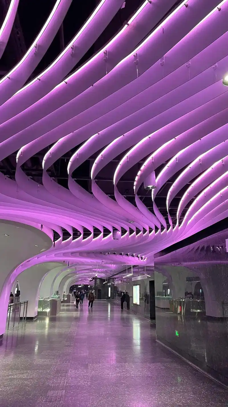 上海豫园最漂亮地铁站#唯美意境 - 抖音