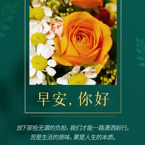 早安问候鲜艳花朵日签手机海报