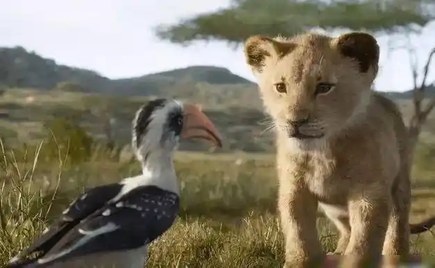 的成长,需要独揽一面对抗风雨,更要学会尊重自然规律_孩子_辛巴_草原