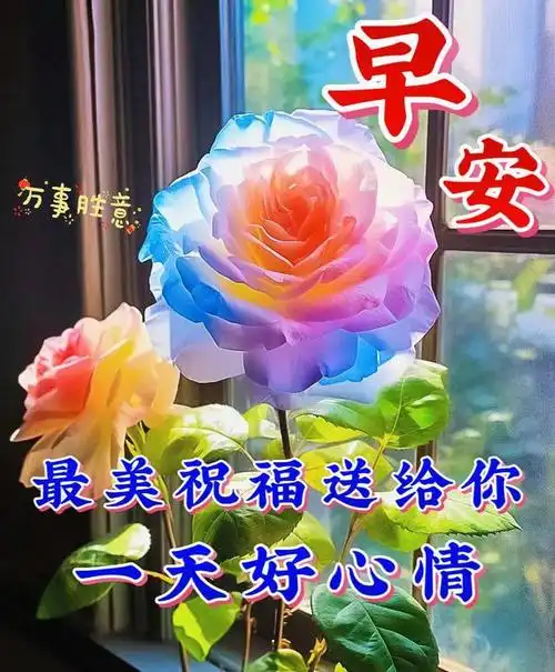 早安图片大全,最新早安漂亮图片祝福 - 快乐鸭图片大全 - 实验室设备