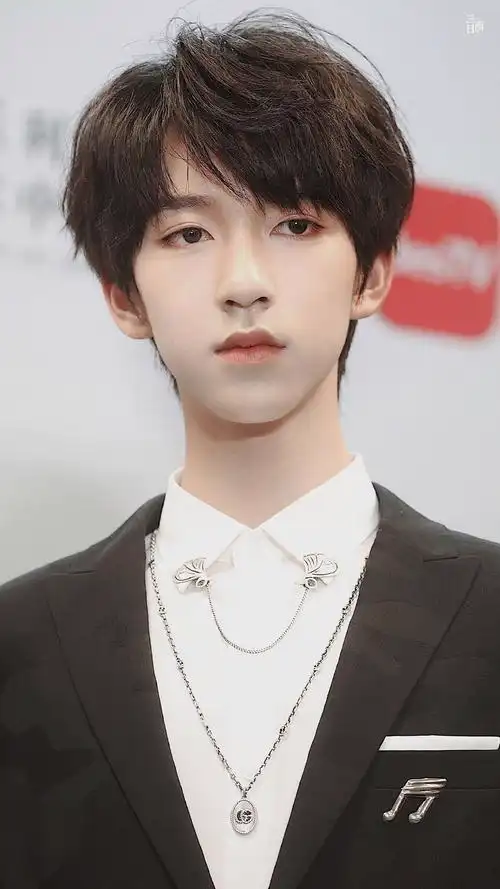 有没有贺峻霖的神图