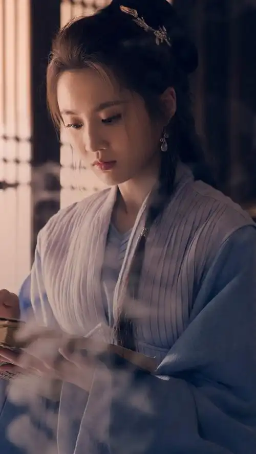 琅琊榜之风起长林 林奚 张慧雯