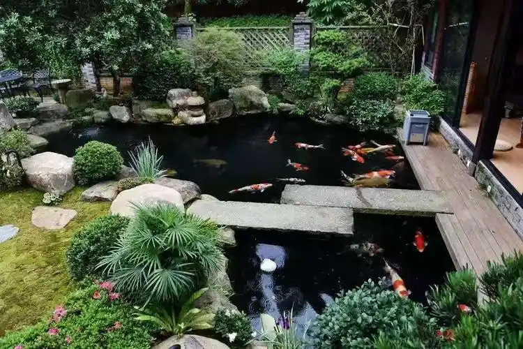 定期鱼池养护维持最佳景观效果硬质材料养护夏季快结束时,木质材料