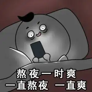 熬夜表情包我明天一定早睡
