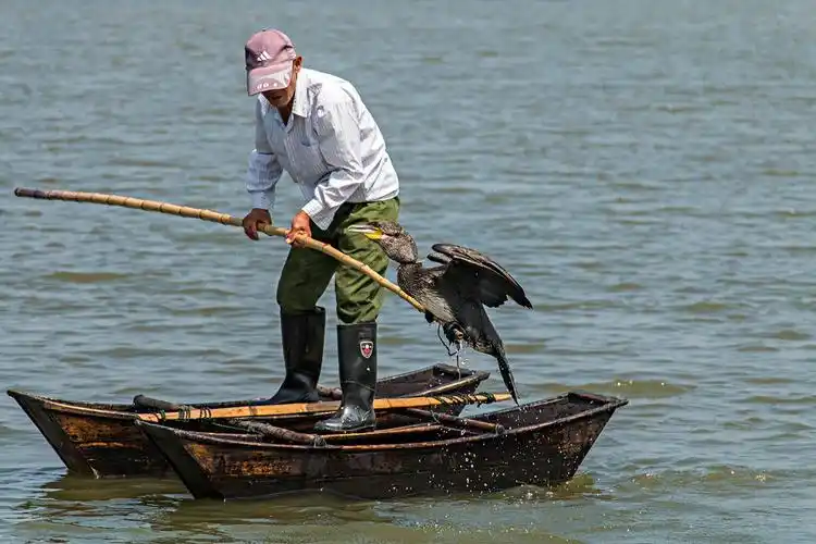 农村渔民用电动三轮车拉着"捕鱼达人",一年到头有鱼吃有钱赚