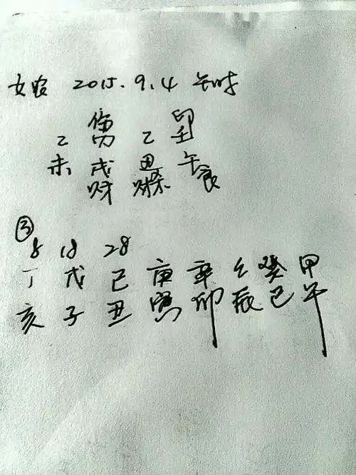 2015年农历九月初四十一点二十出生女孩生辰八字