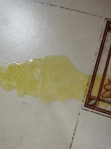 5斤,近一个月我观察到两次呕吐,(应该是吐的胆汁,如图),是那种很努力