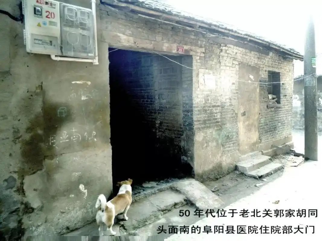 阜阳一大批老照片曝光!你还记得吗?