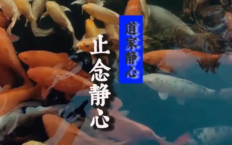 人文 #国学智慧 #静心修心