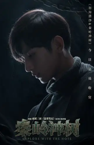 盗墓笔记怒海潜沙&秦岭神树收官海报啊