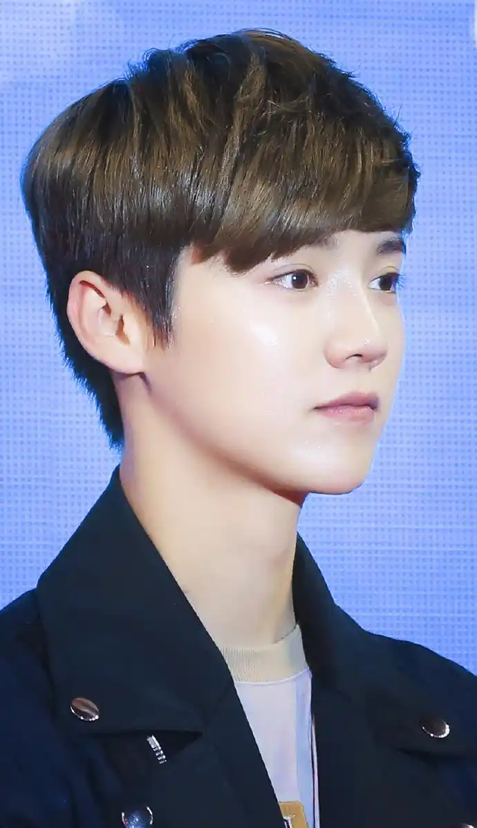 明星鹿晗,代表作品包括重返20岁/我是证人/盗墓笔记/摆渡人 exo