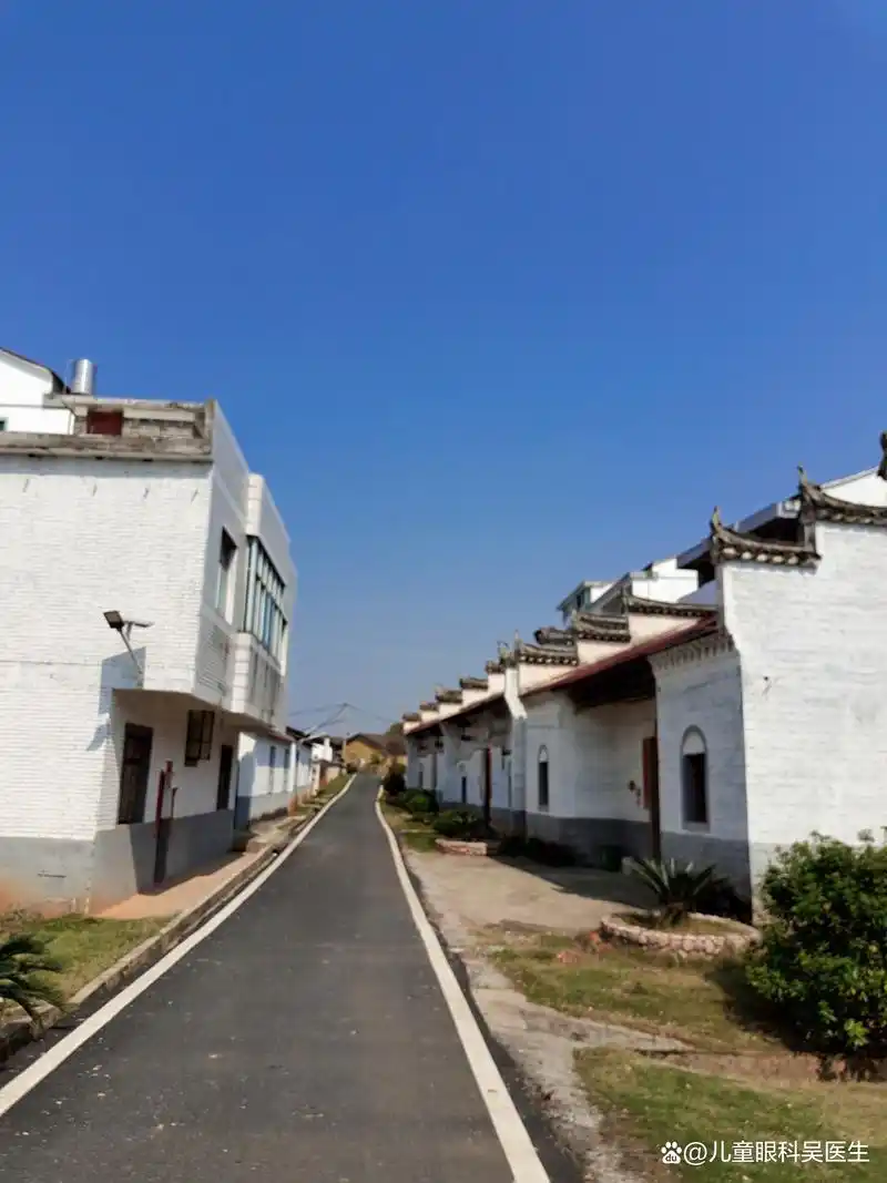 春游新农村示范村