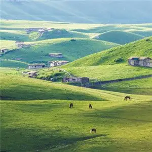 绿色草原牧场风景头像美丽的天山牧场风景图片