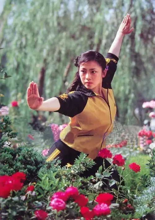 原创李连杰抛弃黄秋燕痴爱利智四个女儿人生迥异