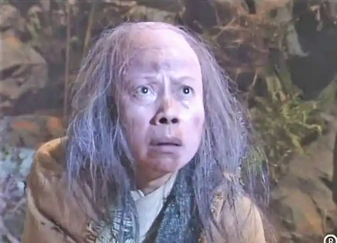 一母同胞的孪生兄弟,裘千仞武功绝顶,为何裘千丈却如此不堪呢?_铁掌_