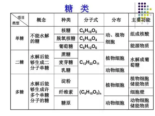 糖类的结构和功能ppt