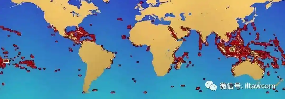 海洋生物的"大基地"-珊瑚礁