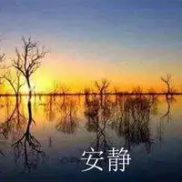 安静淡然的意境图片带文字_微信头像图片大全
