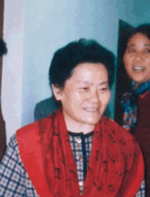 她51岁被破格提拔为纺织工业部长,从副厅级被越级提拔为正部级|吴文英