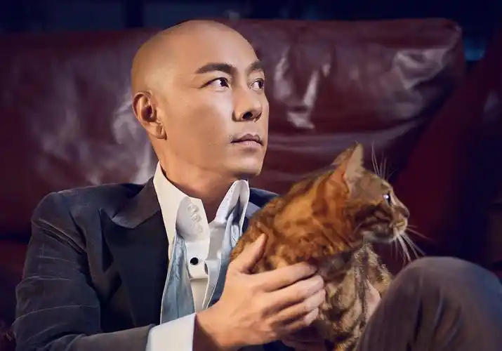 2024张卫健澳门演唱会时间,地点,票价及购票网址-黄河票务网