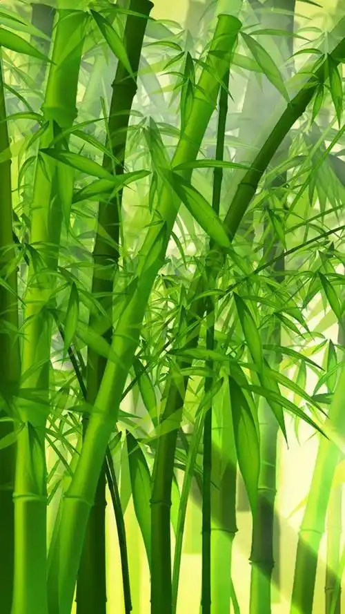 小清新,小草,竹子,绿色植物,护眼,养眼,小清新,手机壁纸绿色养眼高清