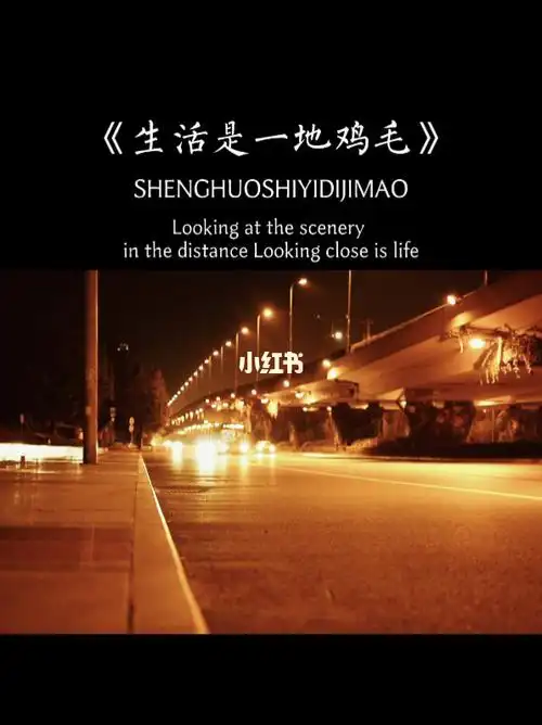 生活就是一地鸡毛