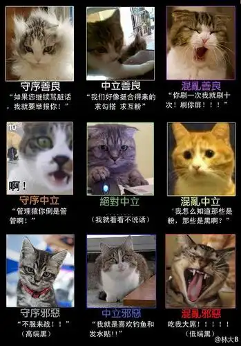 有没有韩团粉做过这种九宫格阵营图的啊