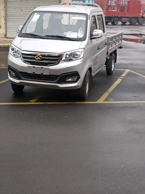 长安跨越 新豹t3 标准版 1.6l 汽油 122马力 2.