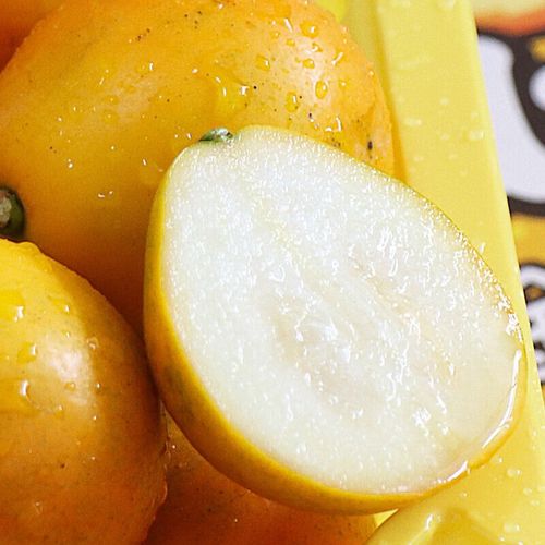 十里馋大桔已定融安脆皮金桔礼盒装2000g 大果筒装礼盒(单颗22-35g)