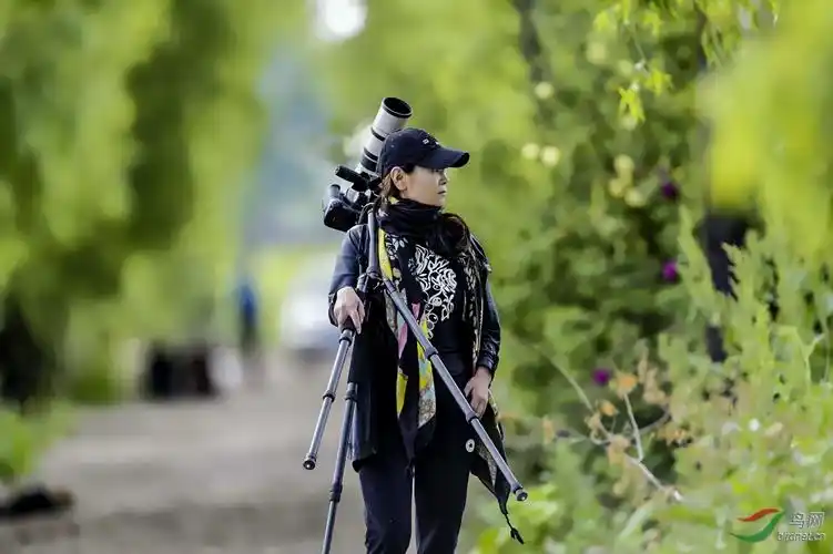 高级教师,吉林版版主,中级数码调图师,高级评论员,野生动物摄影师