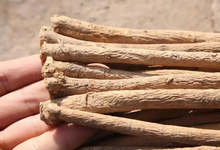 这些活性成分共同作用,使黄芪在现代医学中也被用来辅助治疗疲劳综合