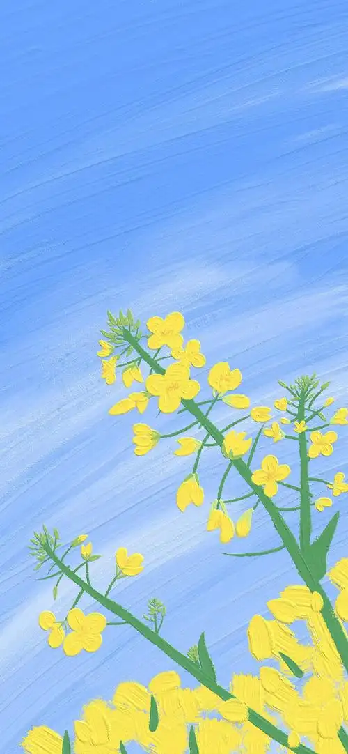 春天到啦分享花朵的壁纸给老婆们00流量警告72