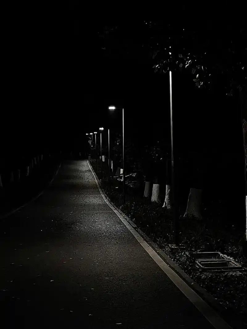 黑夜中孤独的路灯