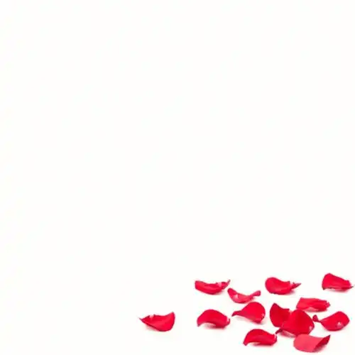 制作方法:软件:美易步骤:1.打开美易,选择一张白色背景图2.