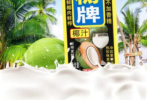 正宗椰树牌椰子汁饮料 245ml*6盒*4组/箱 植物蛋白饮料海南特产