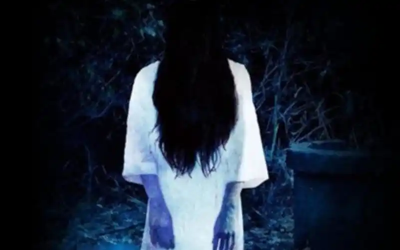 消失35年飞机世界恐怖灵异事件排行榜第一名