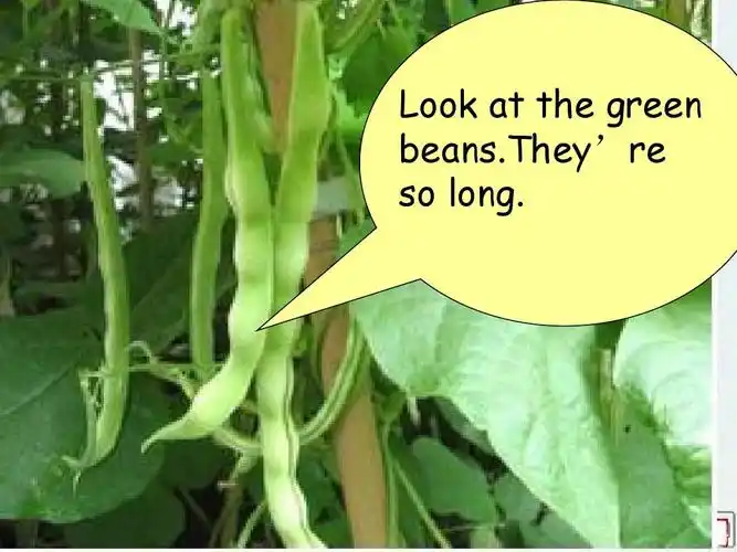 2014新人教版四年级下册英语第四单元unit4_a_部分完整ppt