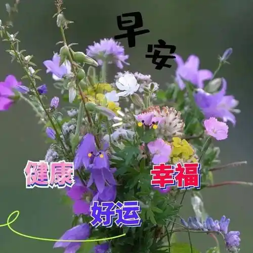 2023早上好表情动态图片合集,群发漂亮的早上好动图表情包_季节_好