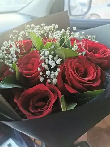 花图片玫瑰花 玫瑰花真实图片大全