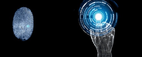 500_200gif 动态图 动图