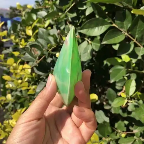 天然贝壳海螺珍珠蛤珍珠蚌壳绿色彩色扇贝家居装饰品水族鱼缸造景