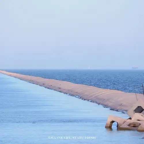 2021612天津东疆港亲海公园786678