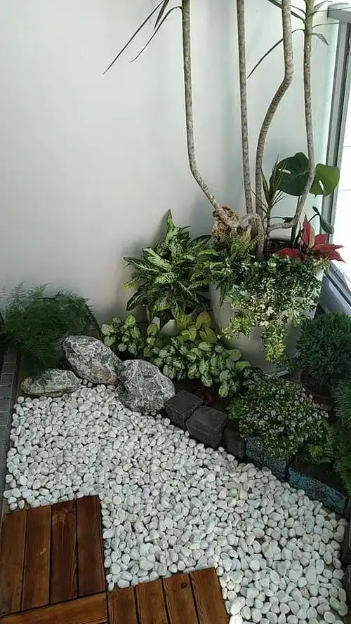 阳台小鱼池的摆放风水,小阳台也能有鱼池!