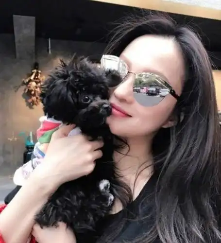 baby为她当背景板,韩红亲自提携迎接!张韶涵:她究竟有何魅力?