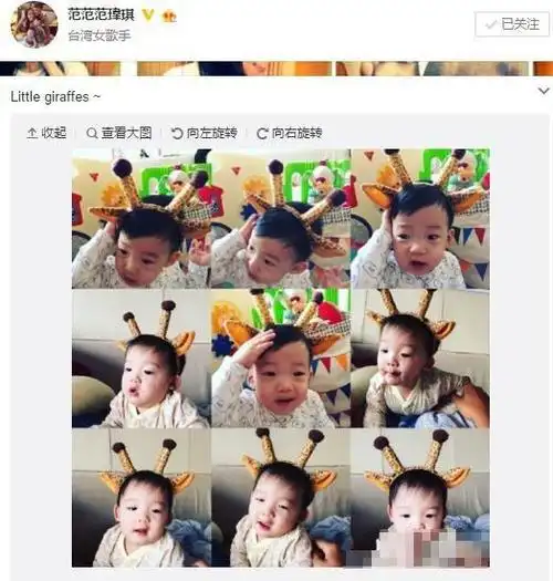 党报评范玮琪"晒娃"被骂:道德绑架也是绑架