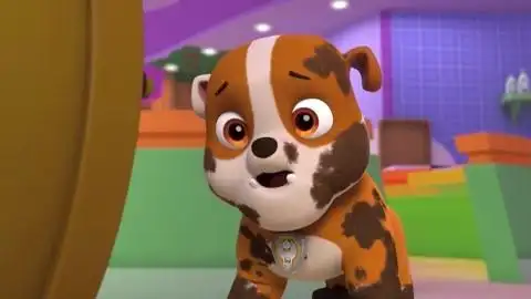 汪汪队:猫咪们太会装,表面人畜无害,实际很能坑!