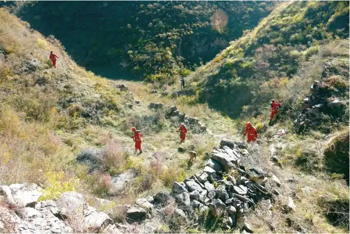 晋中榆次区应急管理局开展森林防火隔离带人工开设作业