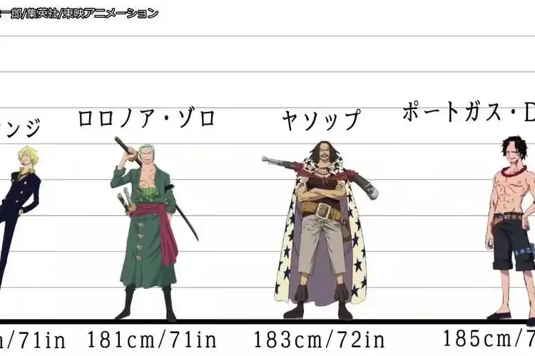 海贼王100名强者的身高排序最高的生物2万米你猜到了吗